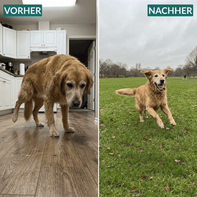 Kausnacks für Hüfte und Gelenke