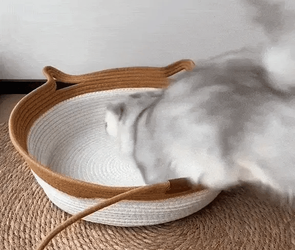 Waarom Instinct Basket?