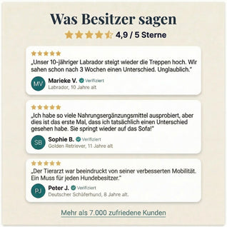 Kausnacks für Hüfte und Gelenke