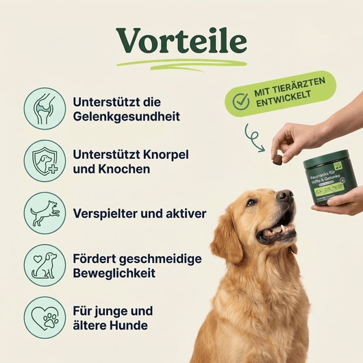 Kausnacks für Hüfte und Gelenke