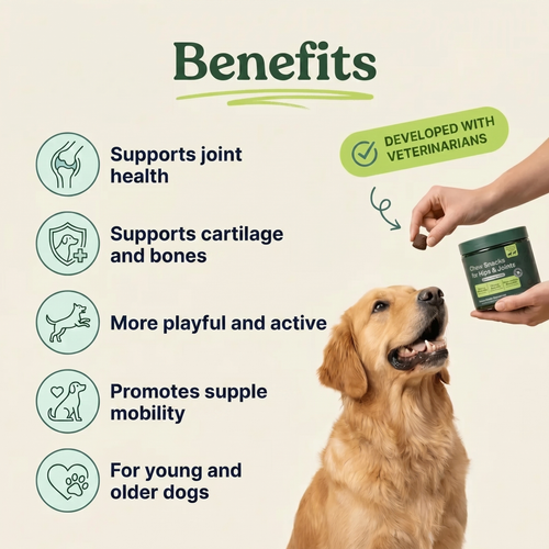 Chewable snacks for hips and joints