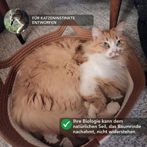 Instinkt Katzenkorb – Natürlicher Rückzugsort für Wohnungskatzen