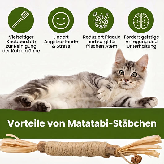 Natürliche Matatabi-Zahnpflege-Sticks
