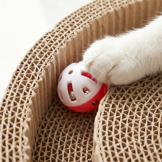 Wooflyx SchnurrSpirale™ Das interaktive 3-in-1 Katzenspielzeug