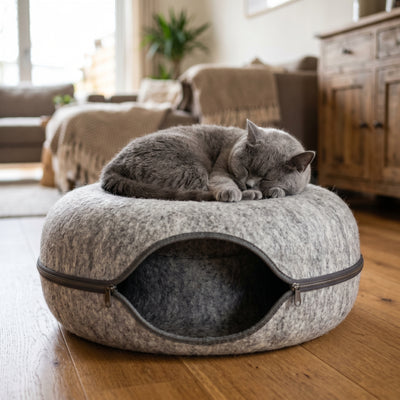 Katze entspannt auf der Wooflyx SchnurrHöhle im Wohnzimmer